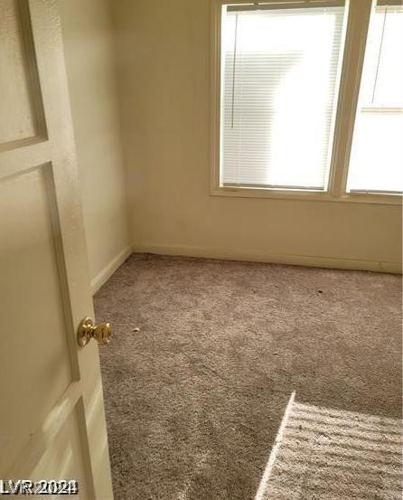 Photo #41