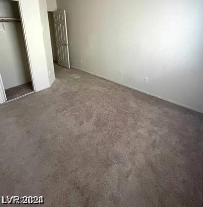 Photo #42