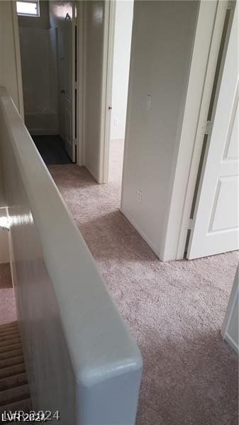 Photo #43