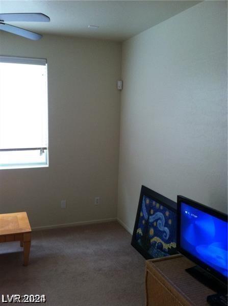 Photo #7