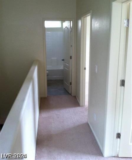 Photo #36