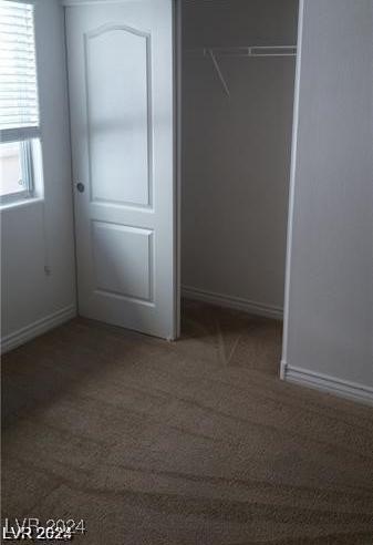 Photo #14