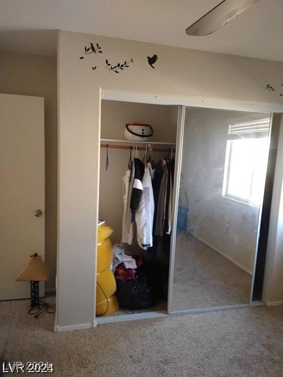 Photo #35