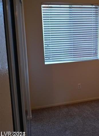 Photo #37