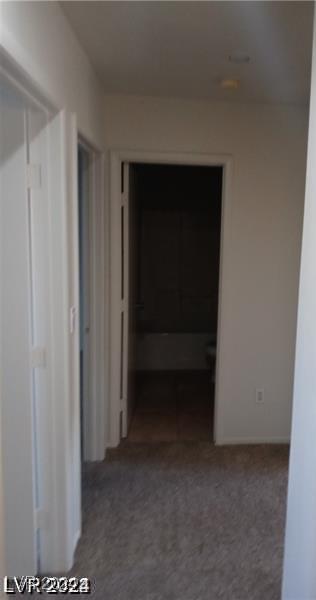Photo #44