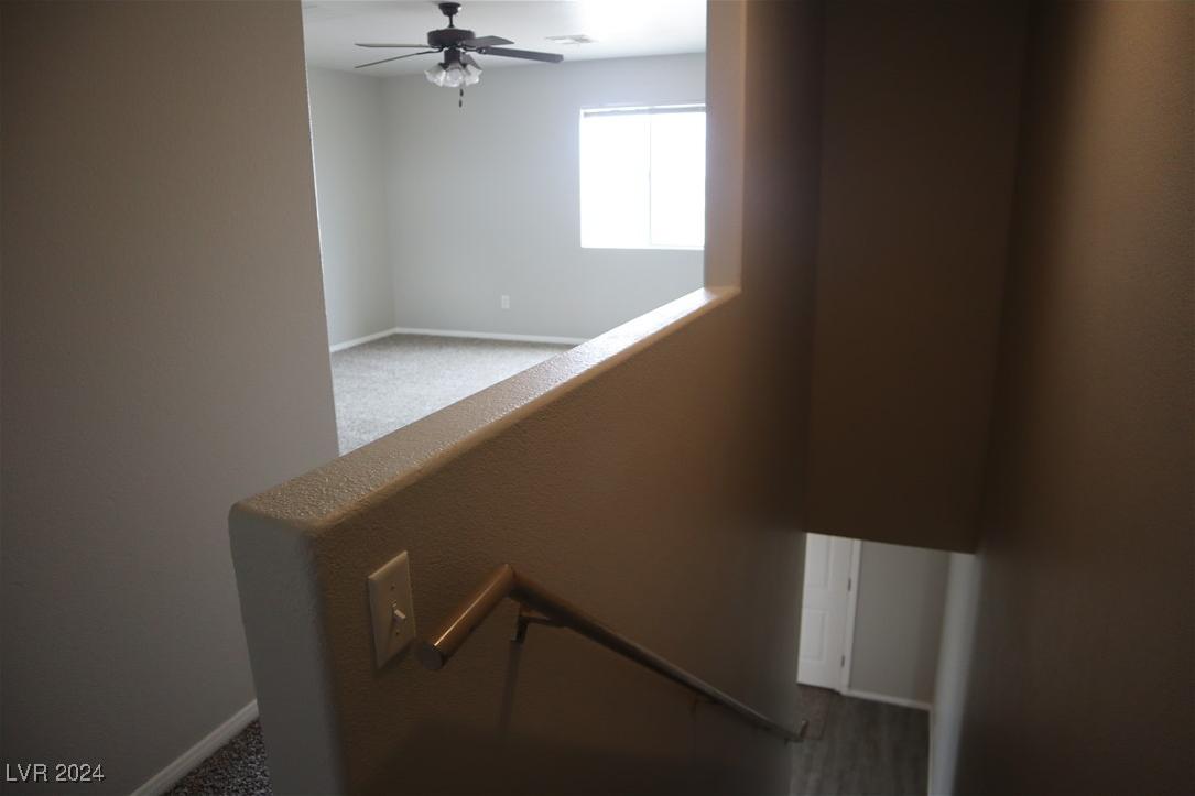 Photo #42