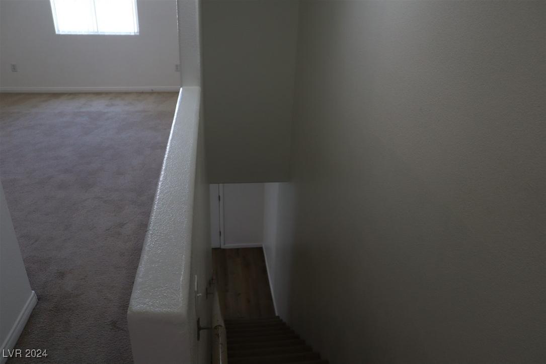 Photo #15