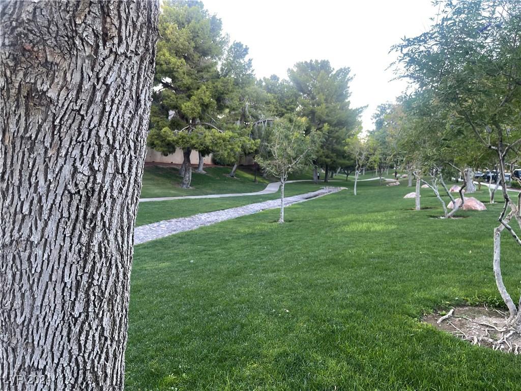 Photo #38