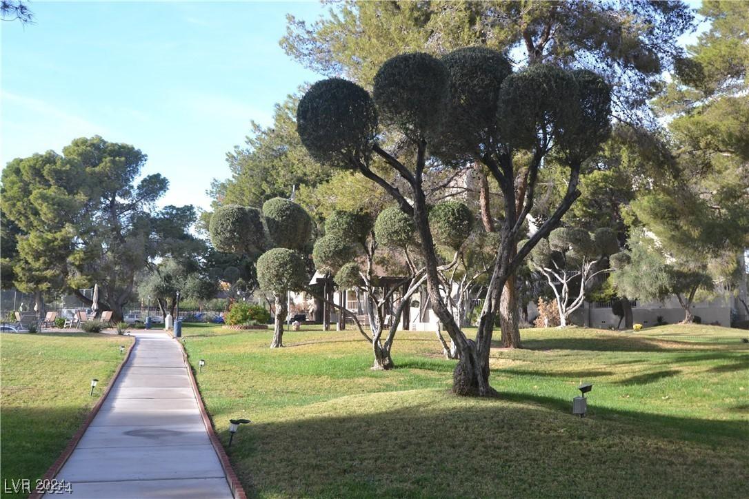 Photo #4