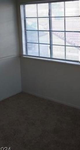 Photo #14