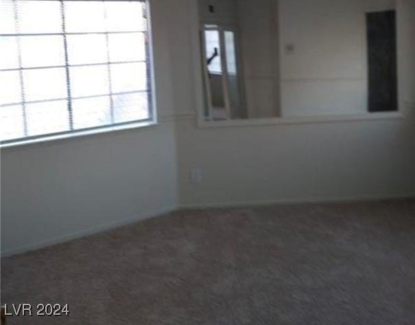 Photo #13
