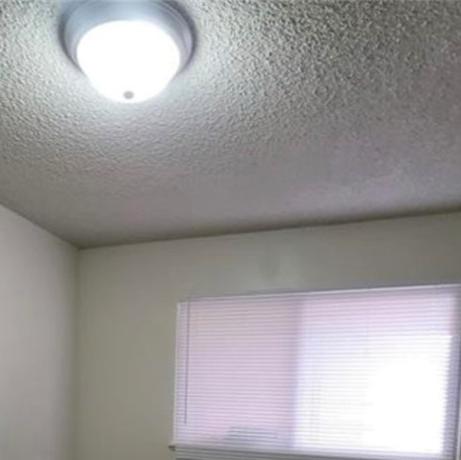 Photo #18