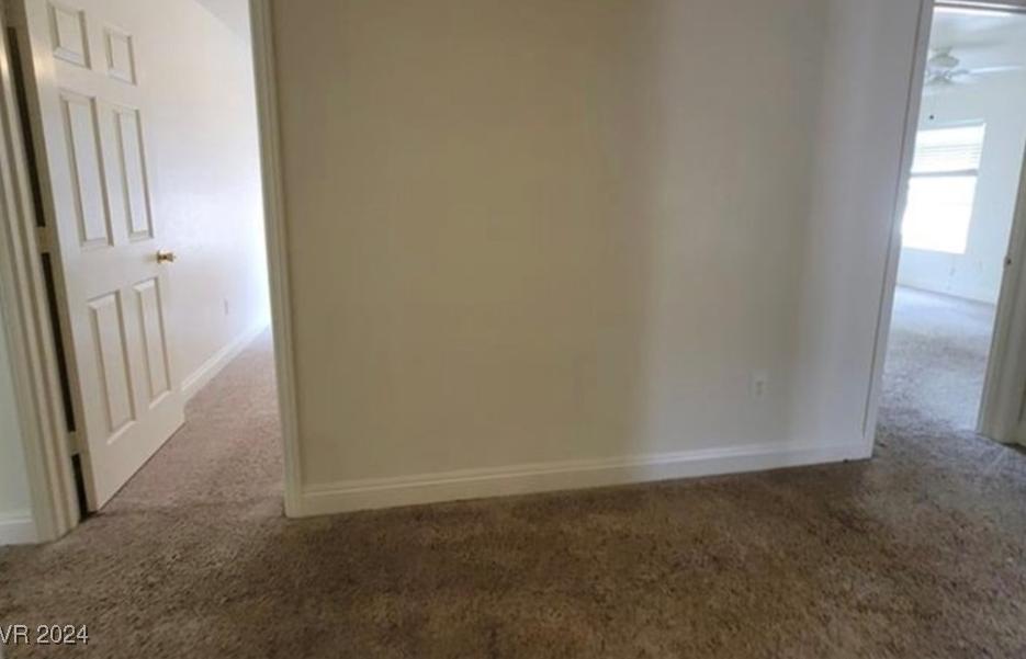 Photo #16