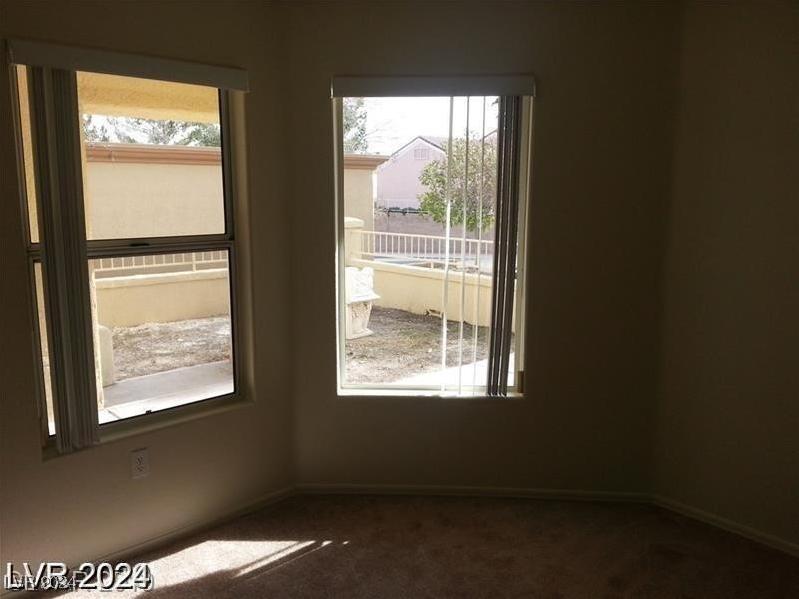Photo #11