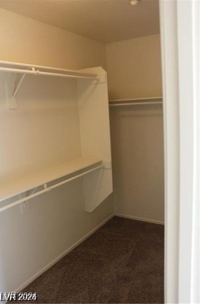 Photo #42