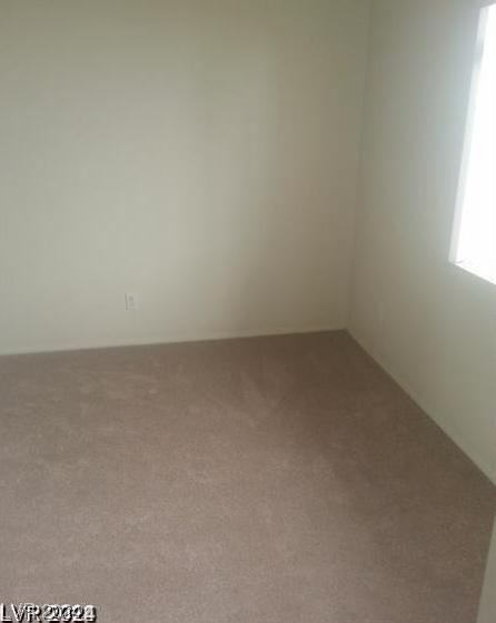 Photo #31