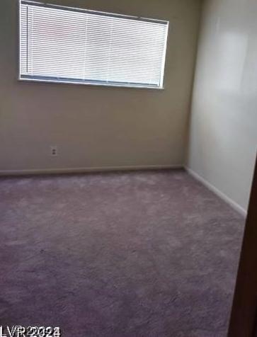 Photo #19