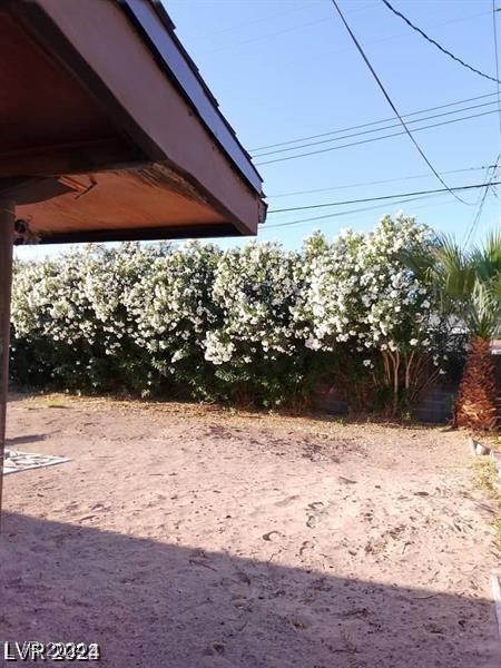 Photo #26
