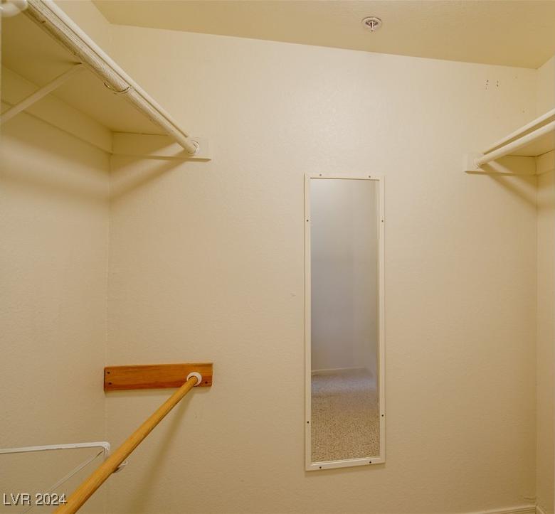 Photo #8