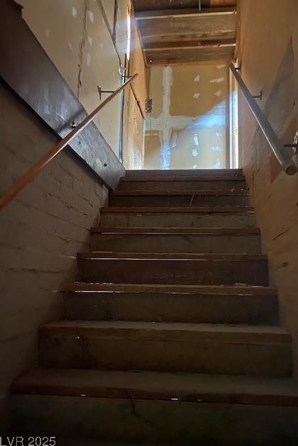Photo #11