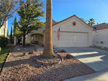 Single-story house with attached garage and mature landscaping at 8809 Clear Blue Dr, Las Vegas, NV 89117