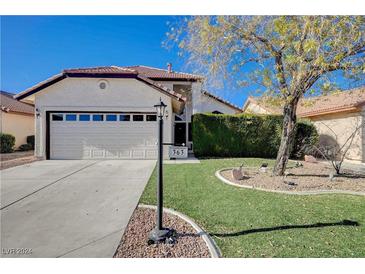 Single-story house with a two-car garage and landscaped front yard at 363 Rushing Creek Ct, Henderson, NV 89014