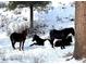 Wild horses in snowy mountain setting at 4095 Tyrol Way, Mount Charleston, NV 89124