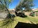 Landscaped backyard with grass, trees, and a block wall at 1458 Palm Dr, Laughlin, NV 89029