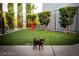 Small dog park with artificial turf and a fire hydrant at 4525 Dean Martin Dr # 2200, Las Vegas, NV 89103