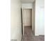 Open closet with ample storage space at 5175 Palmyra Ave, Las Vegas, NV 89146