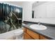 Bathroom with a shower/tub combo and a wolf-themed shower curtain at 2441 Ottawa St, Sandy Valley, NV 89019