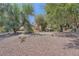 Landscaped front yard with gravel and mature trees at 7082 Mira Vista St, Las Vegas, NV 89120