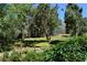 Expansive grassy backyard bordered by trees and greenery, creating a private oasis at 1382 N Trout Canyon Rd, Las Vegas, NV 89124