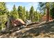 Two charming log cabins on a hillside setting at 4075 Cougar Ridge Trl, Mount Charleston, NV 89124