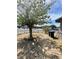 Landscaped front yard with mature tree and a partially visible street at 2100 Dogwood Ave, North Las Vegas, NV 89030