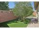 Landscaped backyard with artificial turf and olive tree at 10057 Regency Canyon Way, Las Vegas, NV 89148