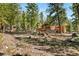 Secluded cabin surrounded by tall pine trees at 2130 Via Spes Nostra St, Mount Charleston, NV 89124