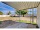 Large backyard with mature tree and covered patio at 2212 Kirk Ave, Las Vegas, NV 89101