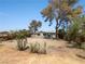 Large backyard with gravel and a view of the house at 5349 Vicksburg Ave, Las Vegas, NV 89122