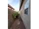 Narrow side yard with gravel and small shrubs at 8240 Aurora Peak Ave, Las Vegas, NV 89131