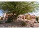 Landscaped backyard with a large tree and rock features at 1214 Country Club Dr, Laughlin, NV 89029