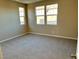 Well-lit bedroom featuring neutral walls and plush carpeting at 740 Monroe Hill Pl, Henderson, NV 89011