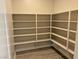 Large walk-in pantry with ample shelving at 84 Ella Ashman Ave, Henderson, NV 89011