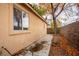 Side yard with concrete path and mature tree at 2622 Rimpacific Cir, Las Vegas, NV 89146