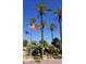 Palm trees and flags at community entrance at 8600 Lynhurst Dr, Las Vegas, NV 89134