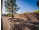 Landscaped side yard with gravel and a large tree at 10920 Black Ledge Ave, Las Vegas, NV 89134