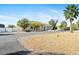 One-story house with large yard and palm trees at 2500 S Zephyr Ave, Pahrump, NV 89048