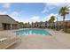 Community swimming pool with lounge chairs and palm trees at 467 Filaree Pl, Henderson, NV 89015