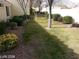 Landscaped backyard with grass and trees at 10404 Frostburg Ln, Las Vegas, NV 89134