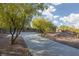 Landscaped side yard with a paved pathway at 3013 Noblesville Ct, Henderson, NV 89052